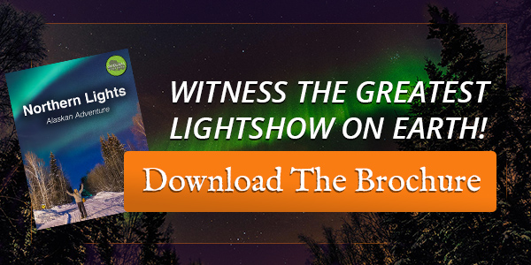 see the northern lights trips