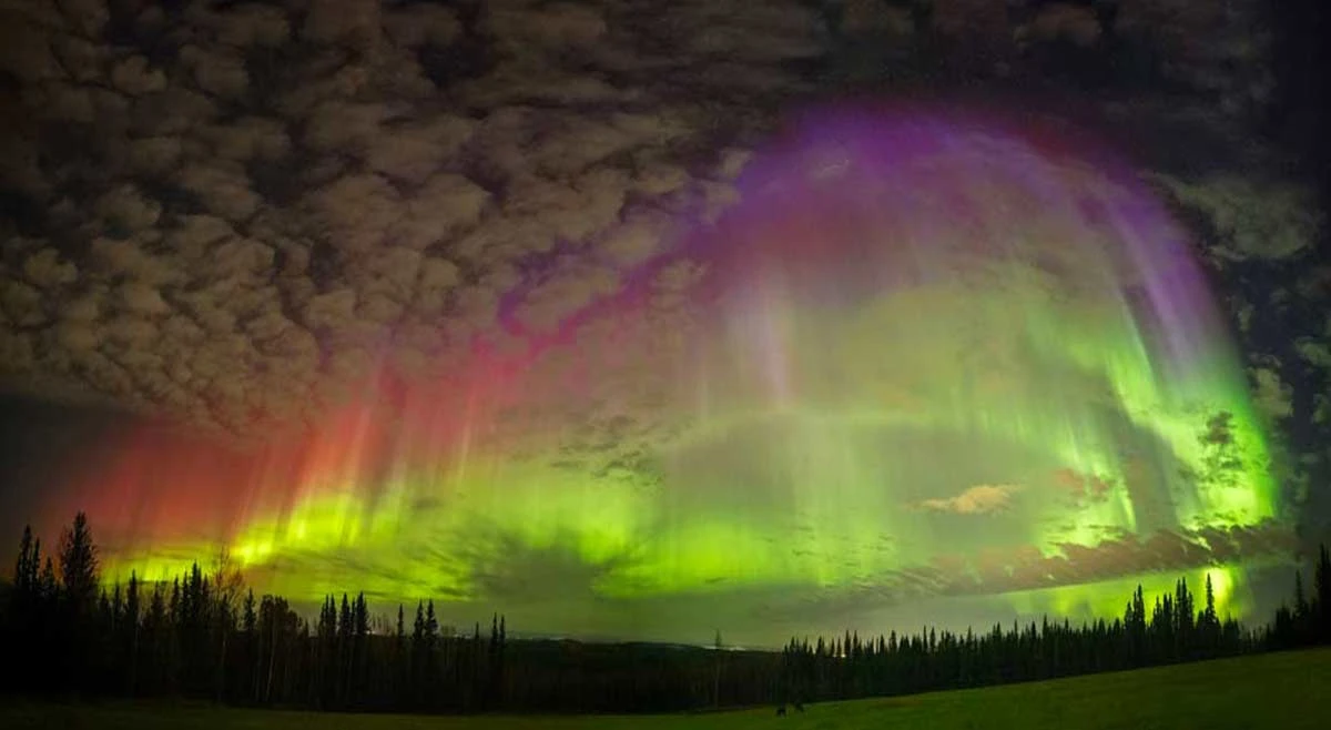Gondwana Ecotours: Carbon Neutral Tour Operator 10 alaskan northern lights trip small group travel company